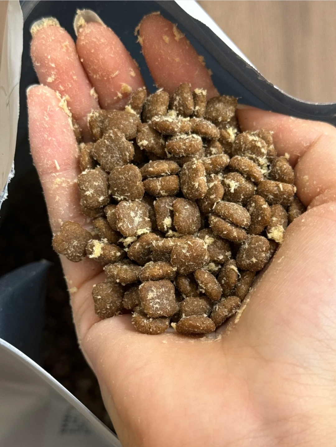 前几天换粮,看中好主人新品铂金猫粮