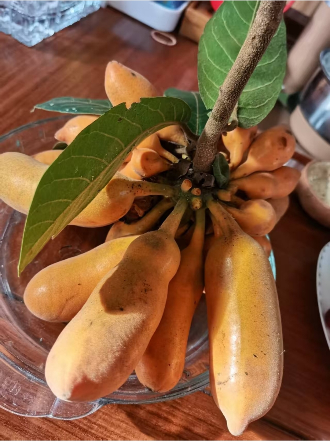 这水果乍一看跟香蕉长得忒像,表皮弯弯的,颜色黄黄的