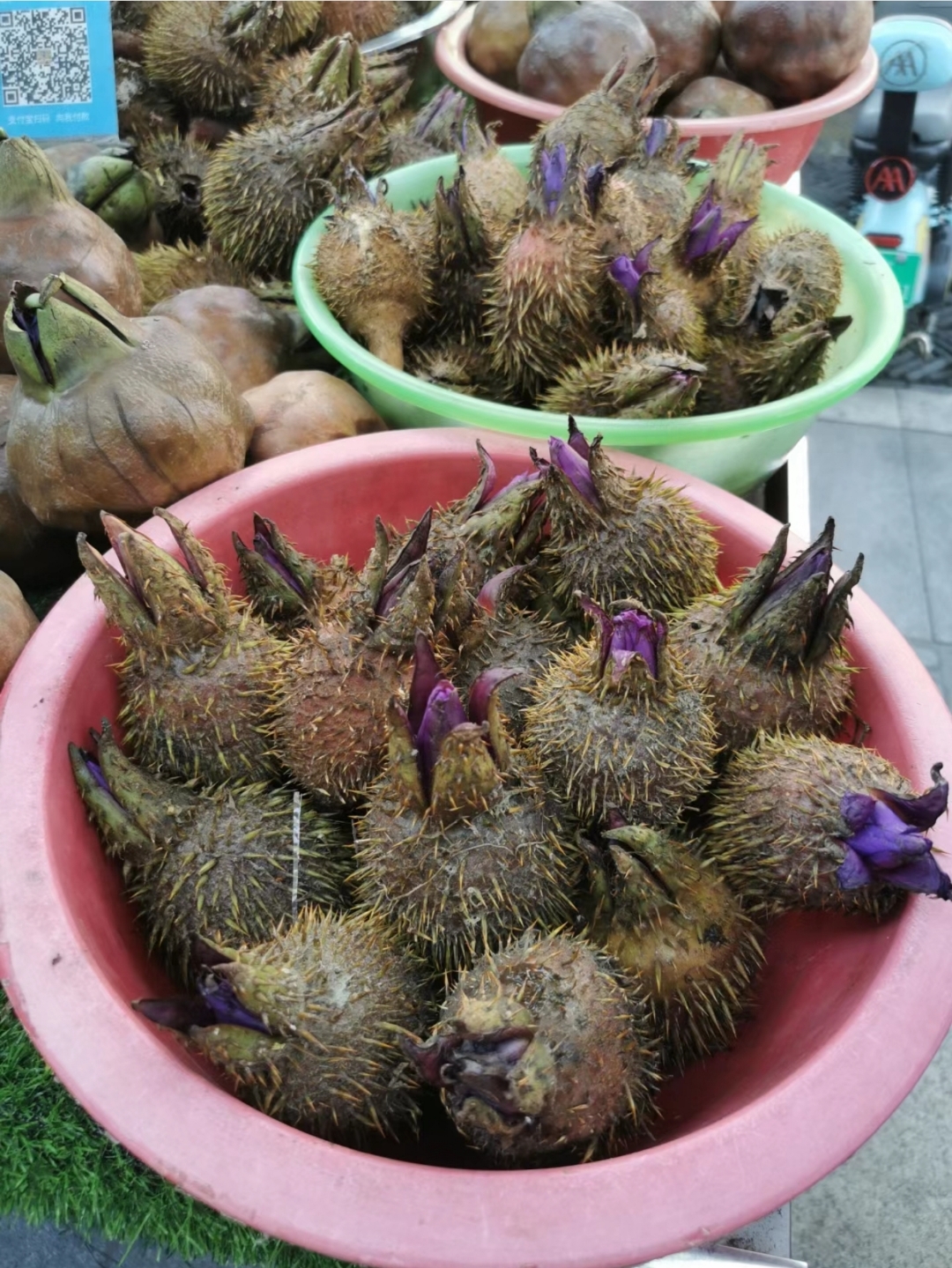我们都称它为鸡头米,回忆中它里面的子味道特别好,那还是在小时候品尝