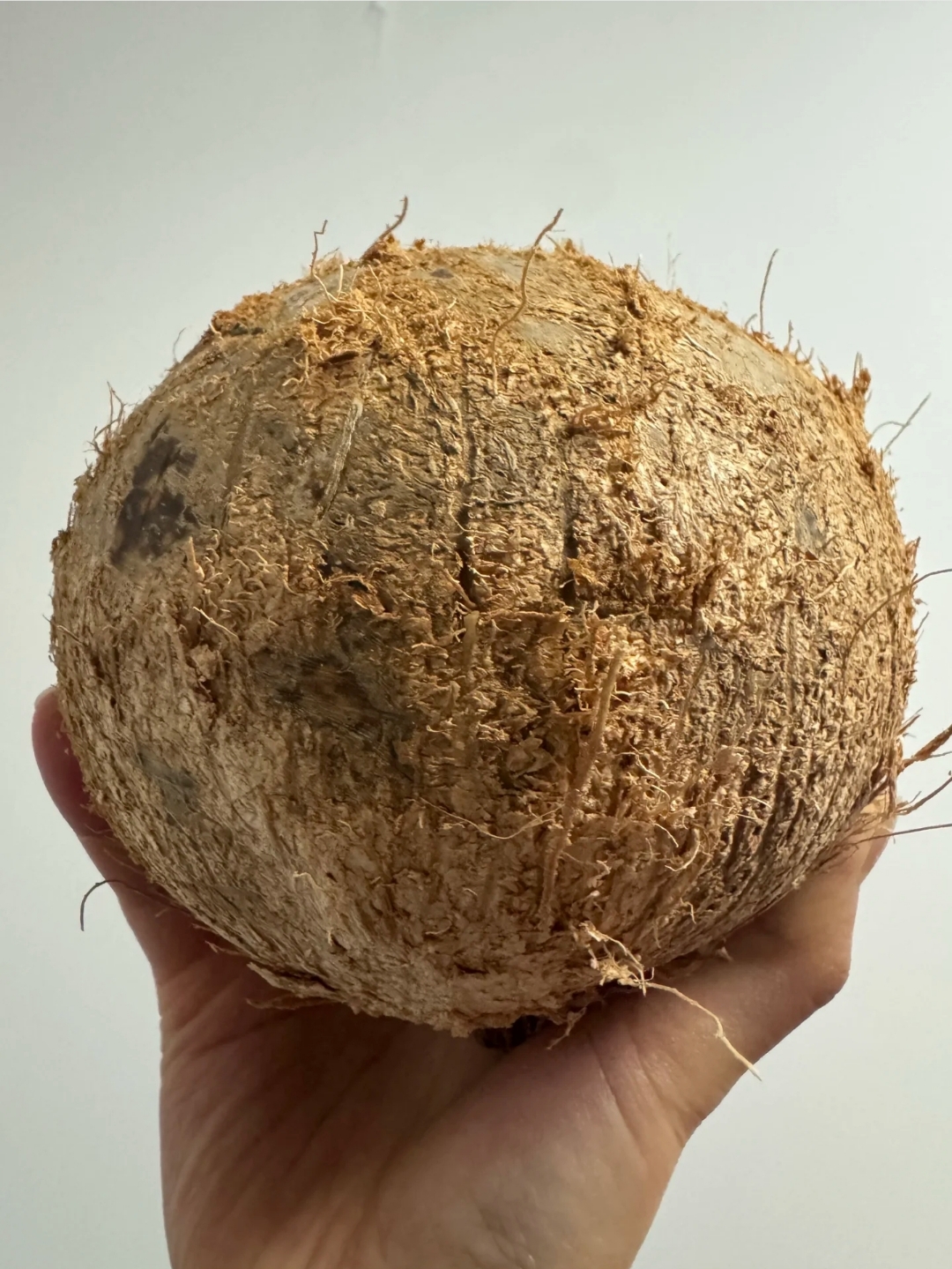 前一天扒皮累到没力气,第二天一鼓作气,三两下就敲开了