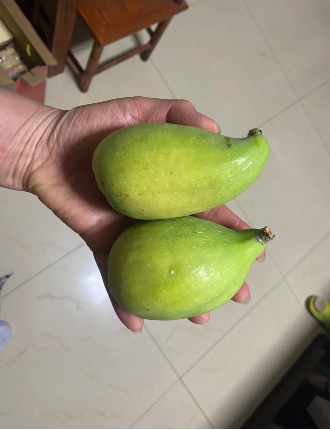 真期待明年峡ɡ悄 无花果紫陶芬无花果中紫无花果