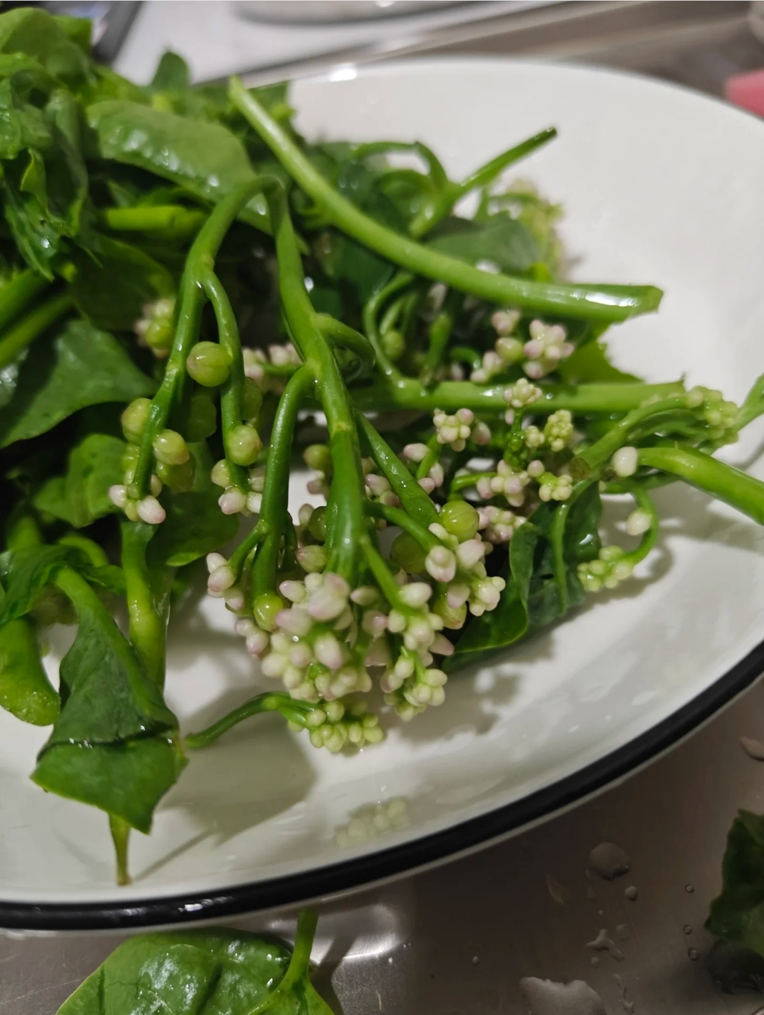 吃了才发现是冉娘子以前都没见过它开花茎杆脆脆的还有胶质