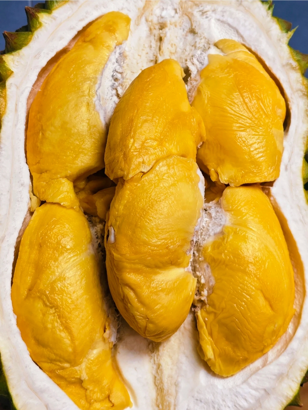 这世界真不能没有青尼榴莲!