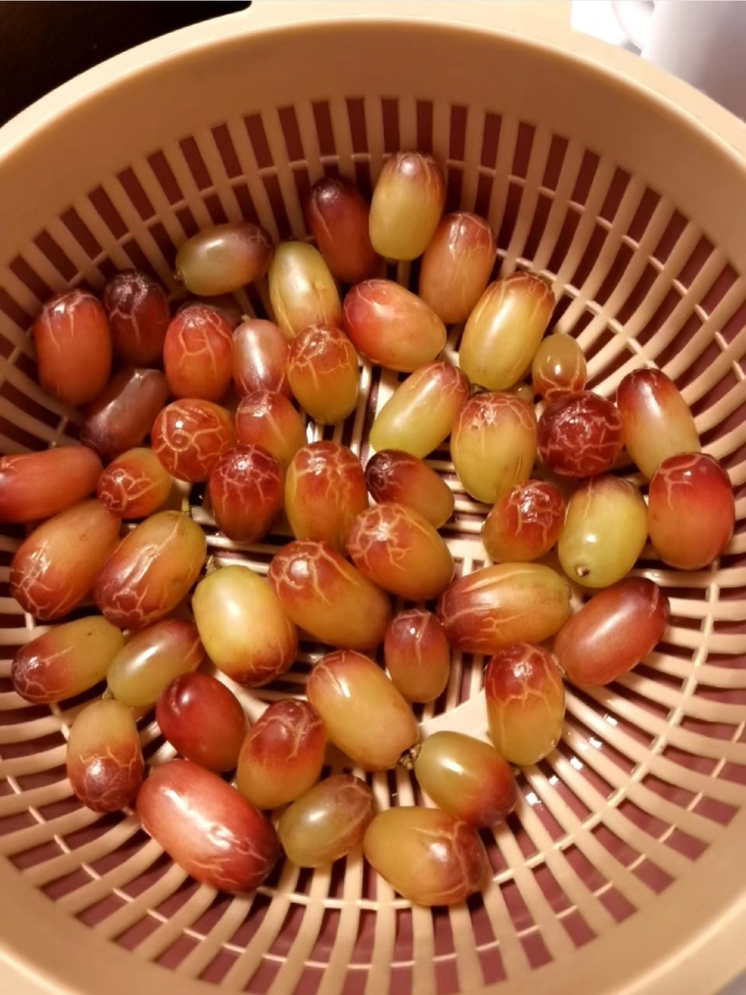 扎马特葡萄有个更厉害的品种叫"玻璃脆",学名佛雷无核