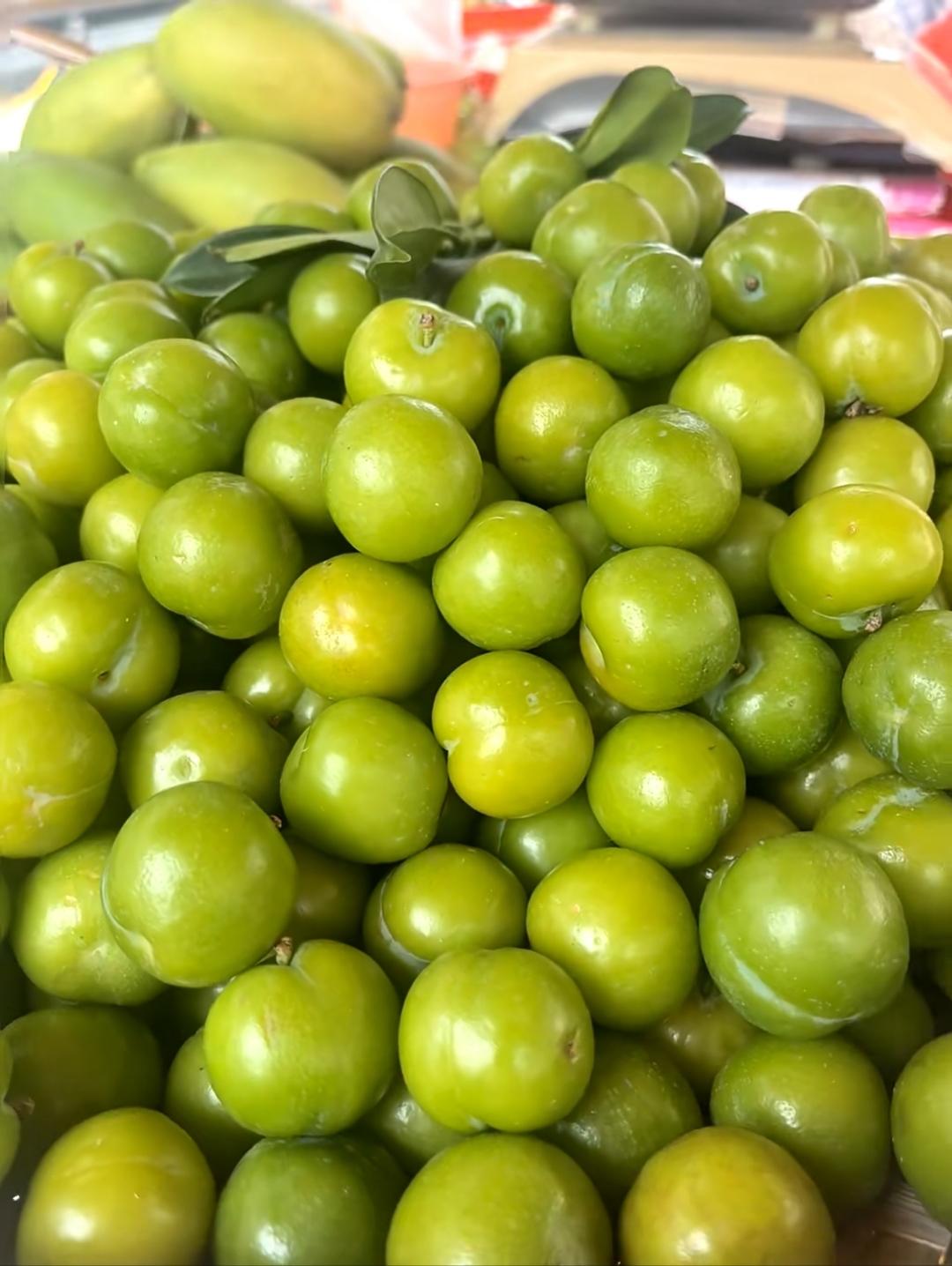 我小时候,家里种了几棵果树,结的果子特别酸,直接吃根本下不了嘴