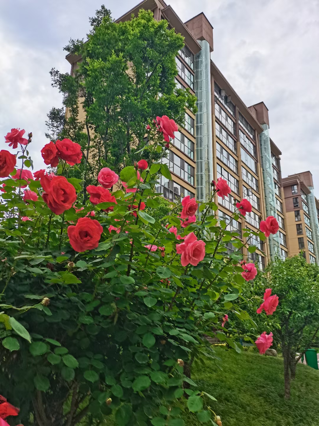 庆华·茶乡水城--- 岁月浅浅,余生漫漫 予一半烟火谋生活 许一半