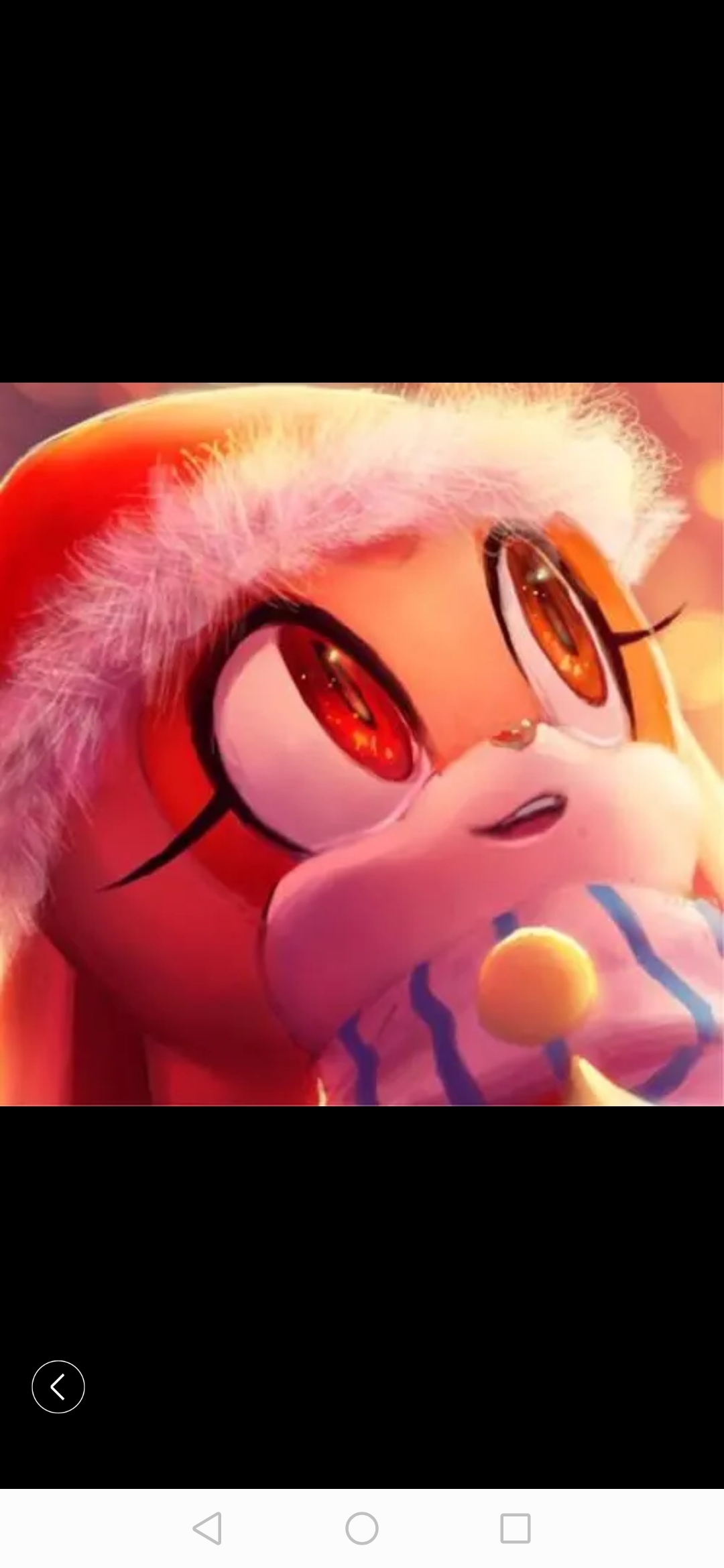 索尼克中会飞的角色