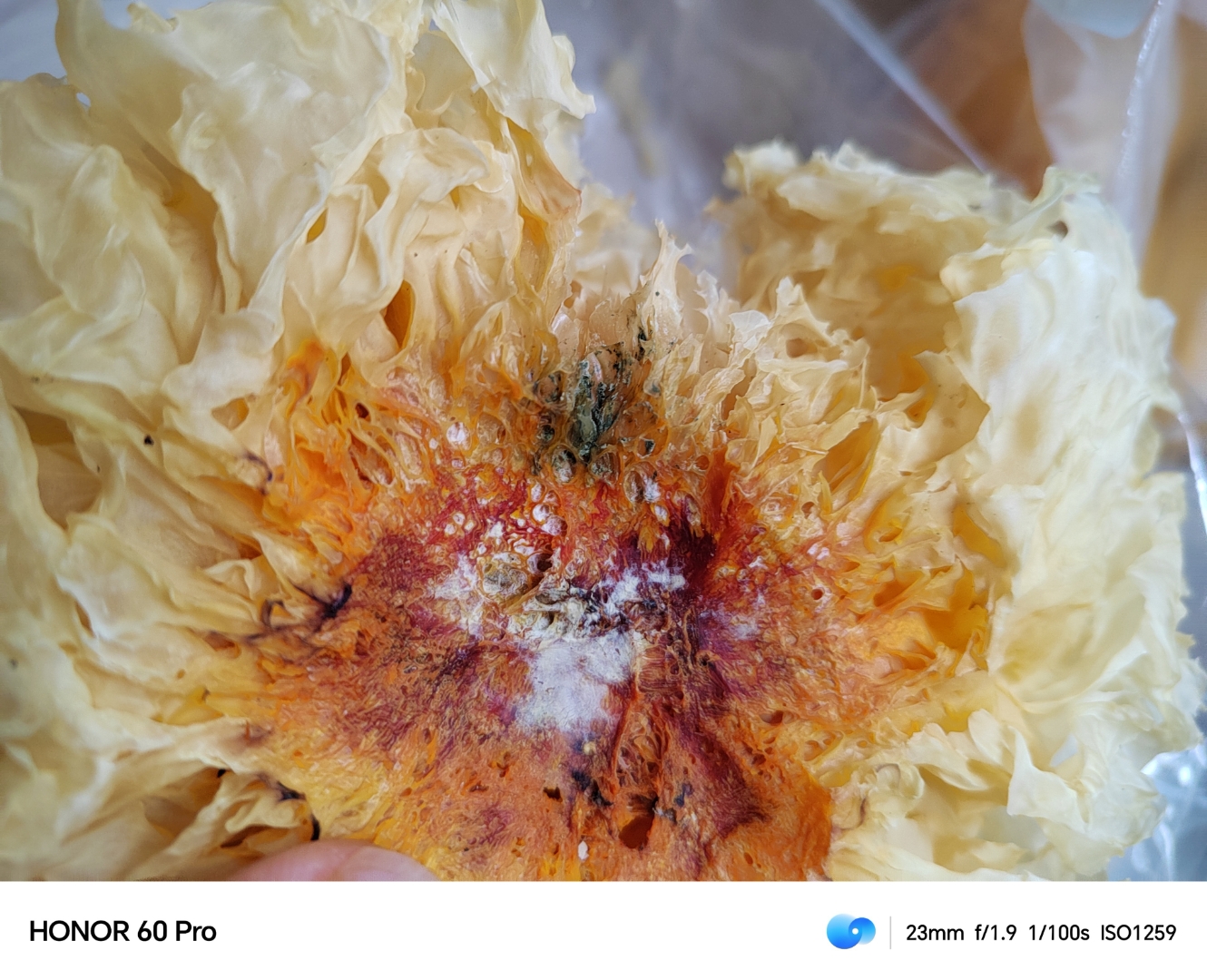 山东潍坊百货集团佳乐家超市售卖发霉银耳拒不处理!