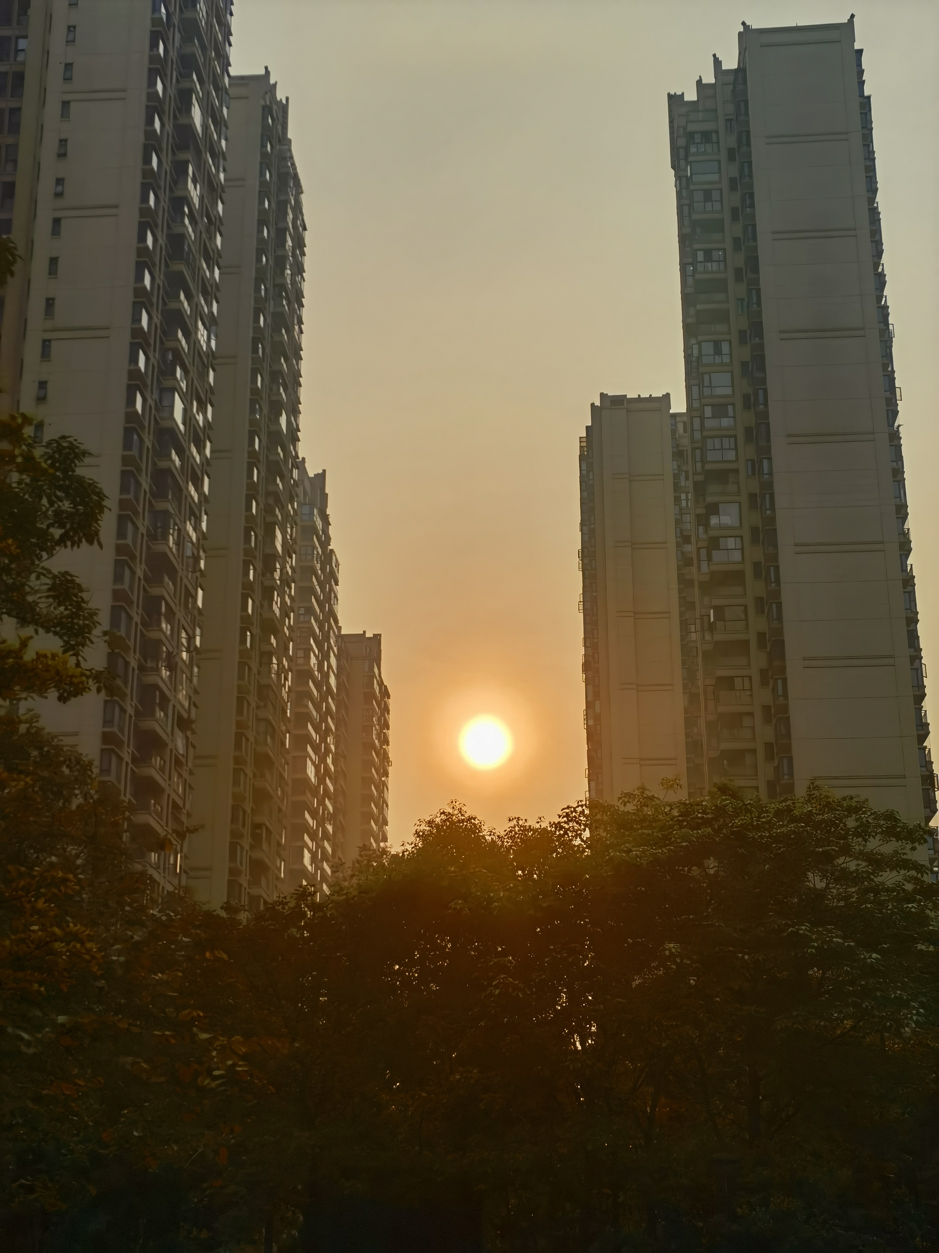 日出  早晨7:40,利用华为手机在小区的楼房间逆光拍日出