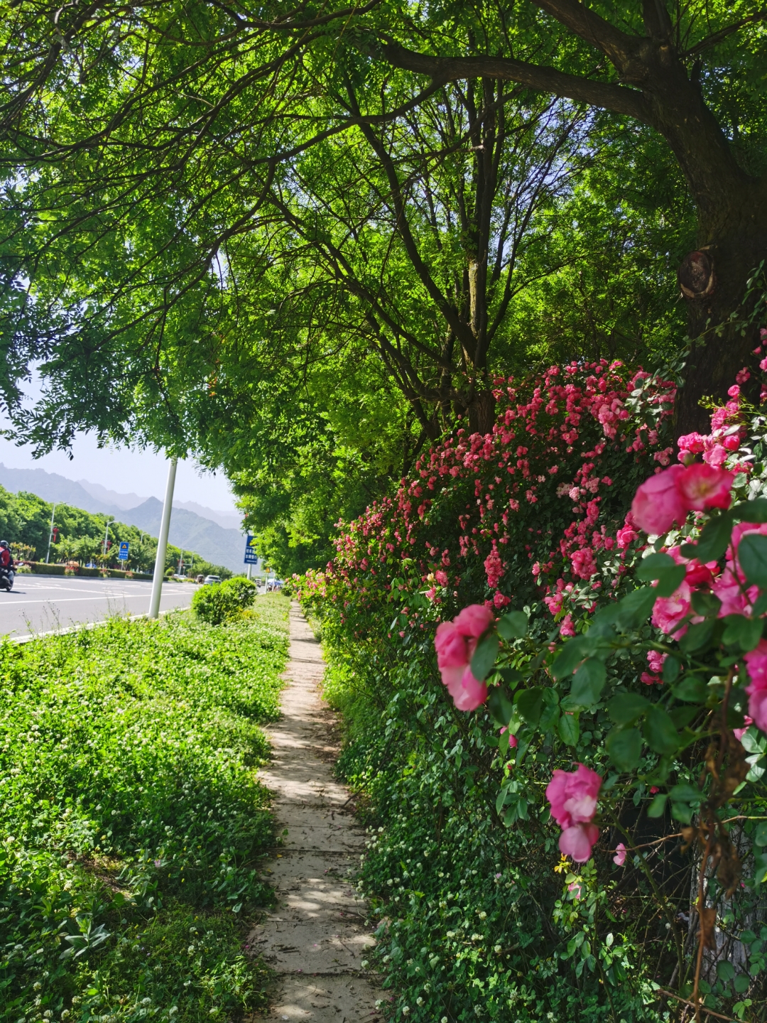 回家路上的风景# 最美长安大道 这条长安路的向南延伸,一直交接到