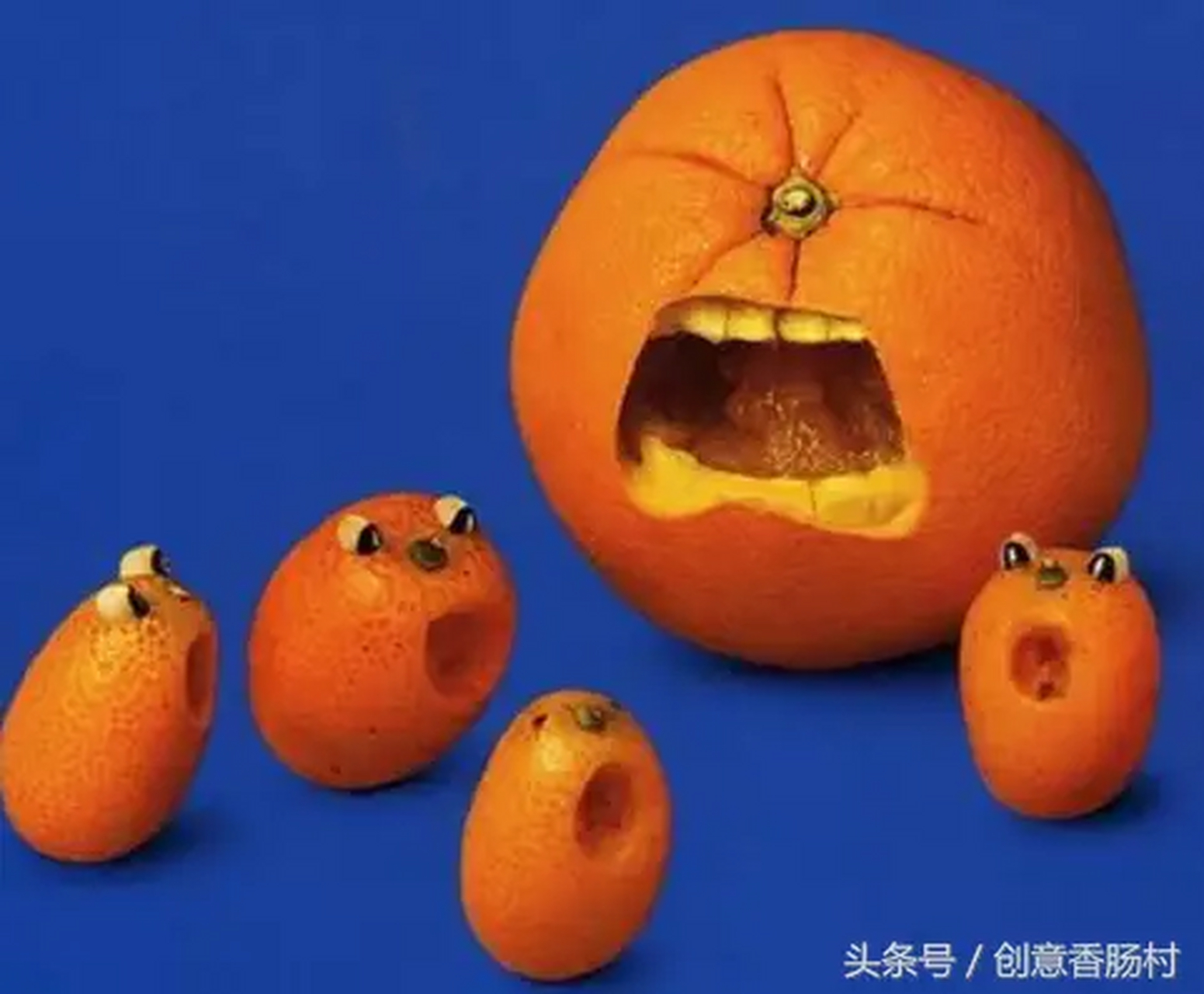 95919099生动的果蔬创意图片90929603