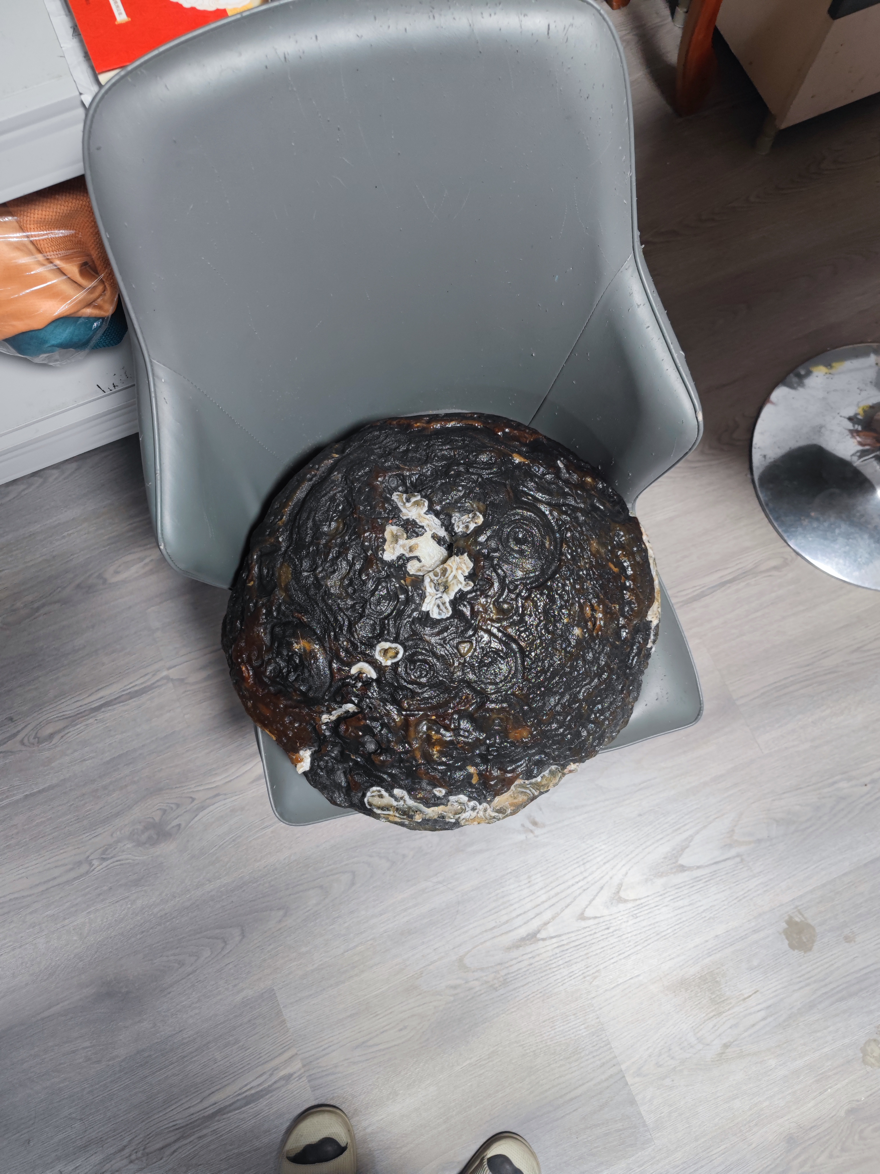 在一起月更圆# 每逢佳节倍思亲,转眼又到了中秋