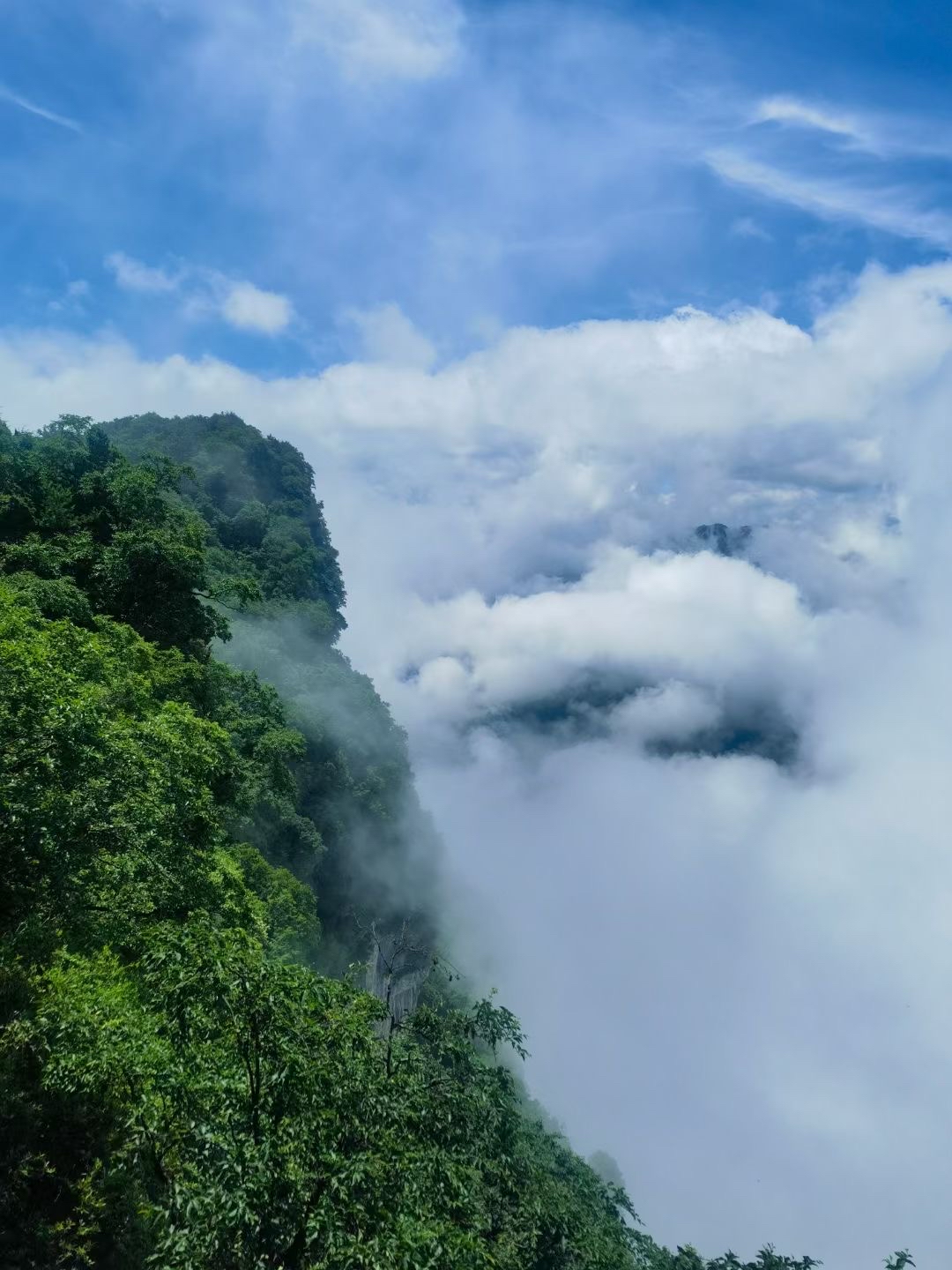 龙头山,位于陕西省汉中市南郑区小南海