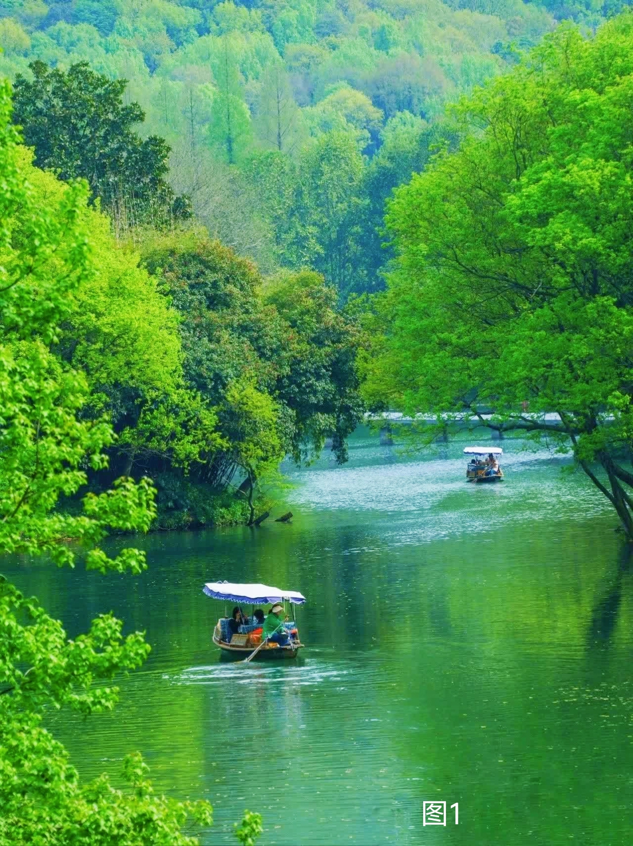 天柱独尊擎云天, 荫藩绿水欢歌的照片高清池水荡舟照片绿色山水壁纸
