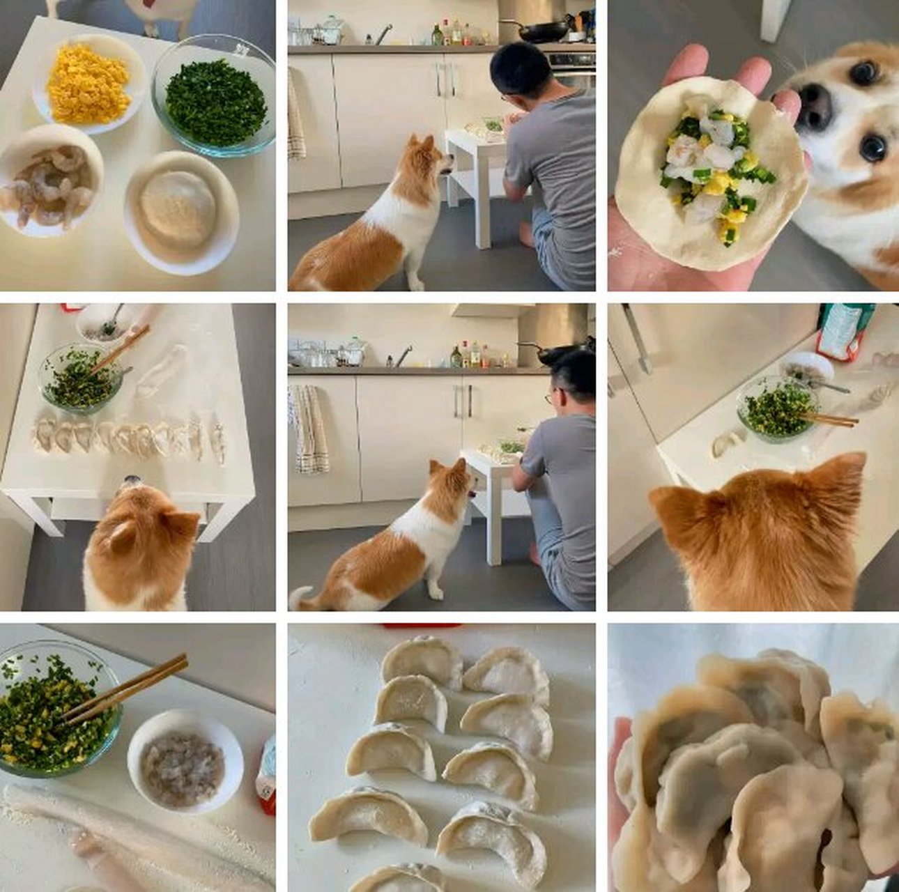 美食开箱##真箱美食计划#今天中午包的饺子,这是我人生第一次完成包
