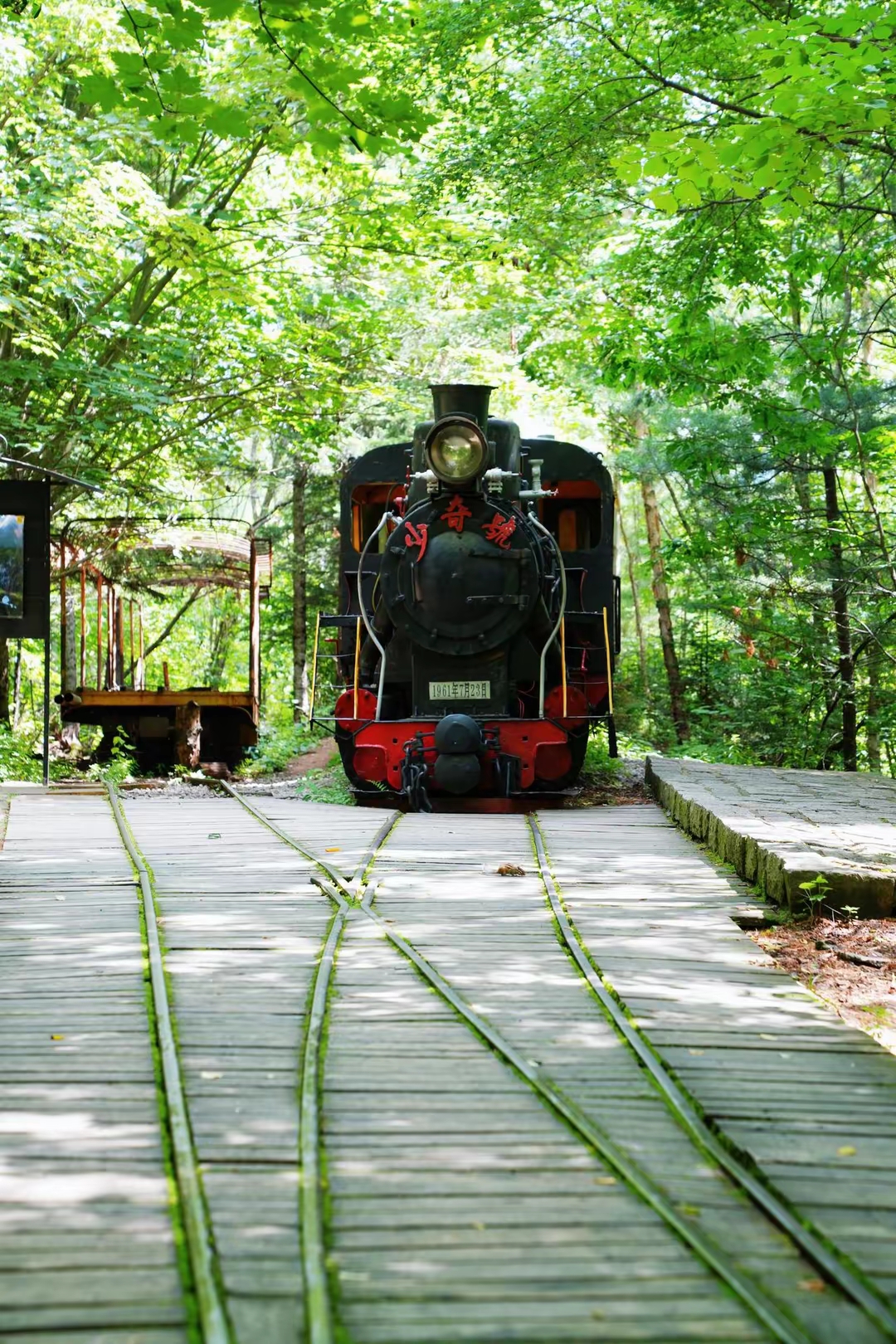 五营国家森林公园是红松原始森林保护区,自然环境清幽静谧,是一个天然