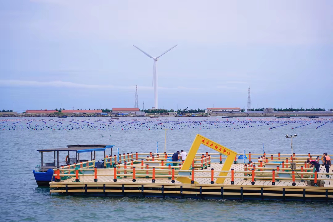 东楮岛的门票是90元,但是包含了海上牧场和海草房参观,性价比和体验