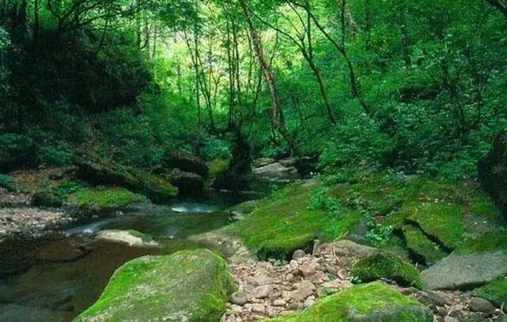 六盘山鬼门关  六盘山是中国最年轻的山脉之一,它就位于甘肃省的东部