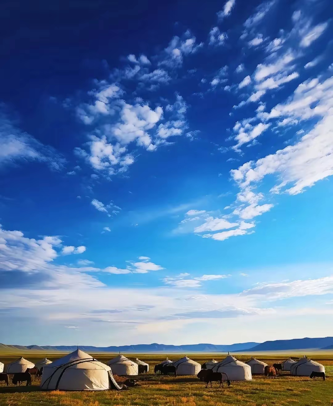 呼伦贝尔广袤无垠的草原,纯净的天空和清新的空气吸引着游客