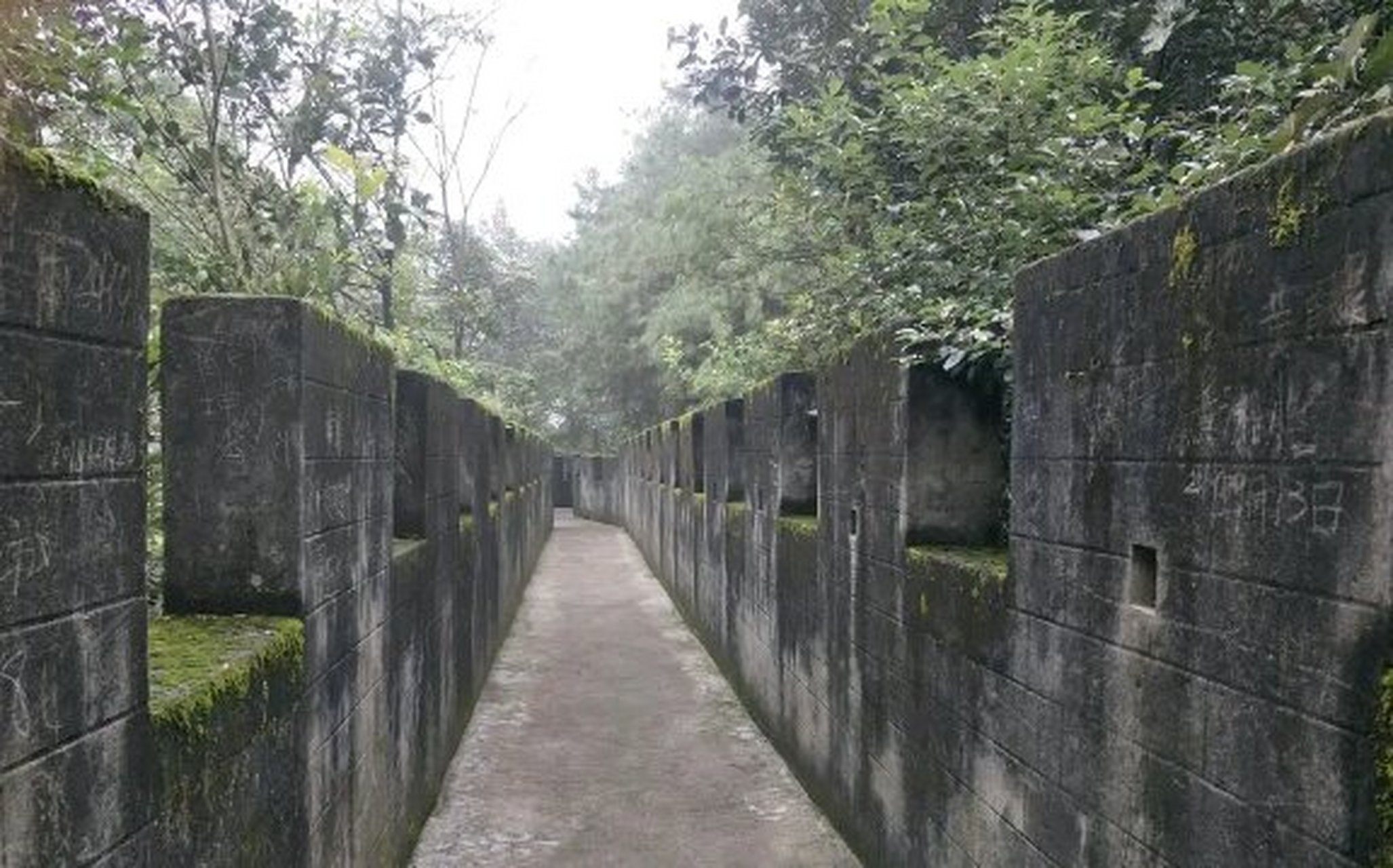 一起来说纳溪事儿# 九狮山位于泸州市龙马潭区安宁乡,景区占地面积