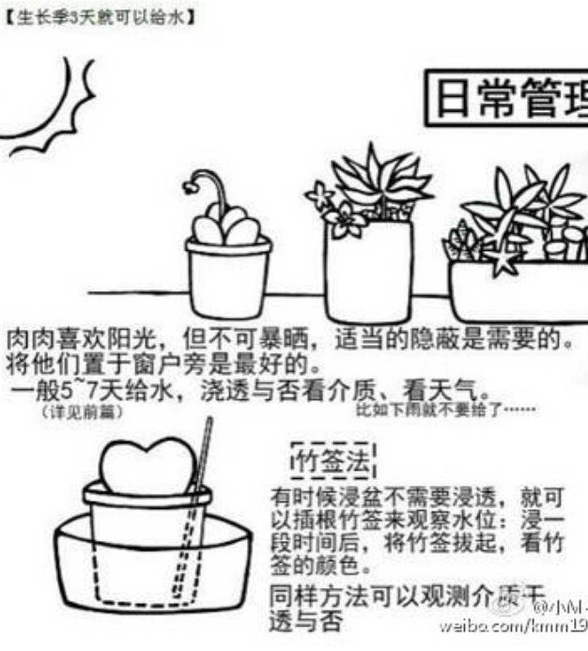 三分钟get一个新技能# 我在堆糖收集了一张图片:【多肉移栽种植小