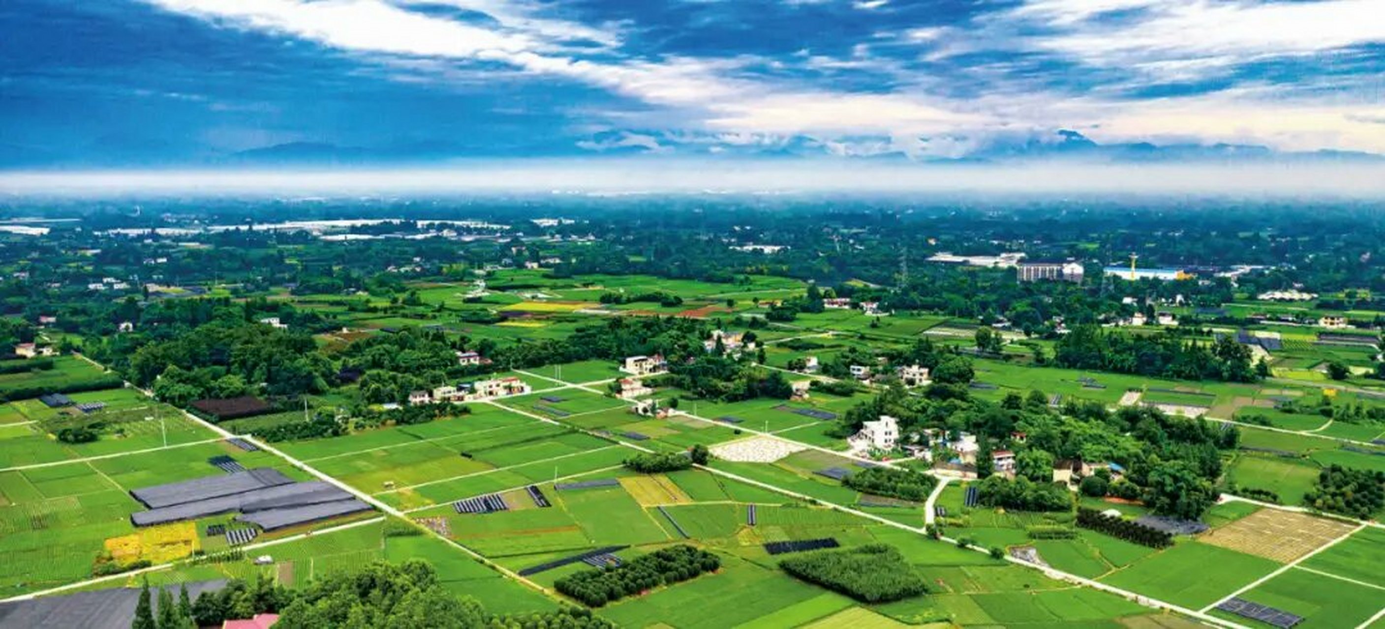 爱上郫都100个理由# 成都平原气候温和湿润,为生物多样性提供了必备