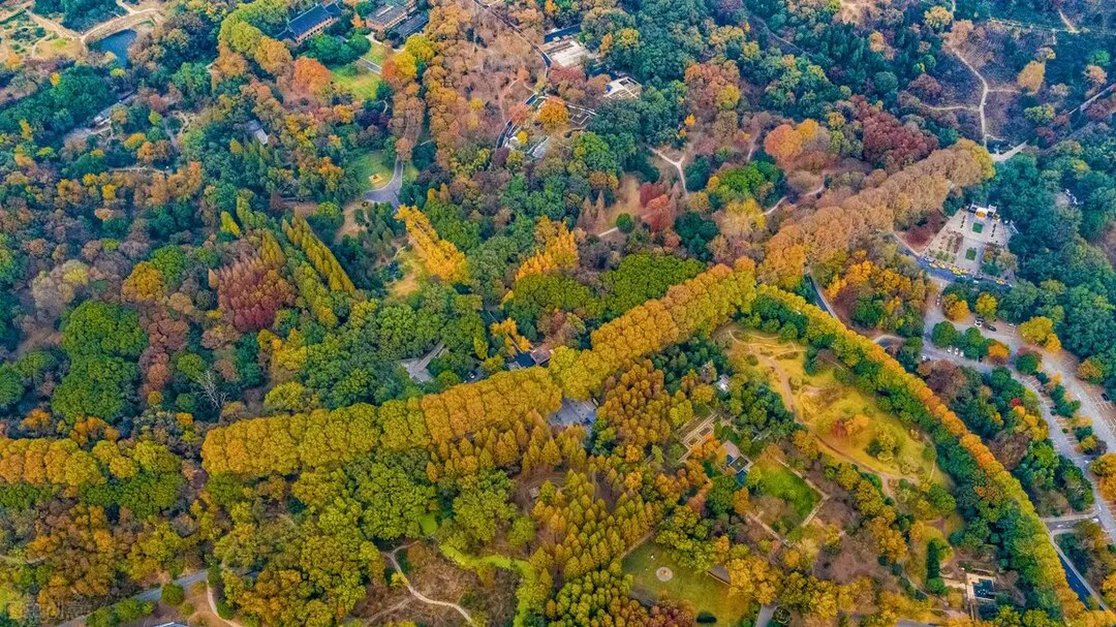 美好生活在南京 钟山风景名胜区 钟山风景区是中国著名的风景游览