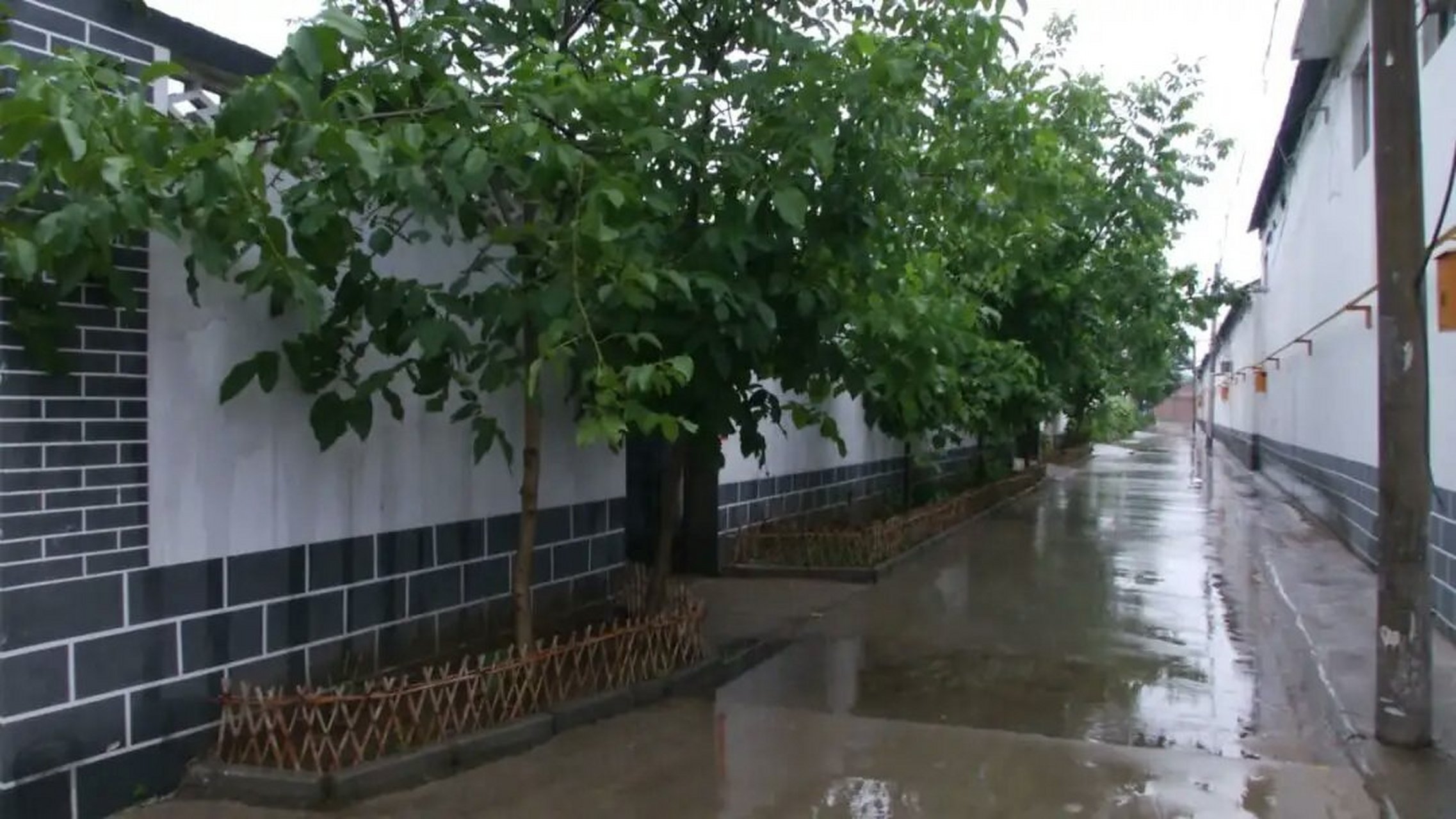 萌新动态嘉年华# 走进新安镇北白佛村,一幅乡村美景图徐徐展开,干净