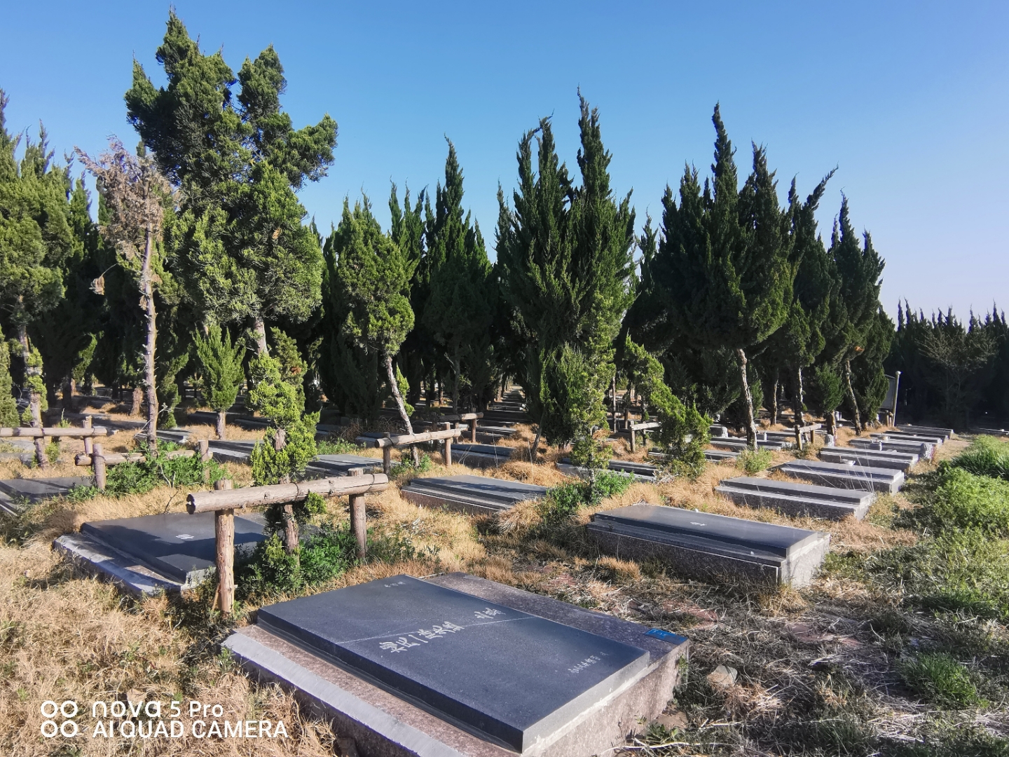 一年一度的清明节逐渐临近,凤阳县福寿山生态公墓
