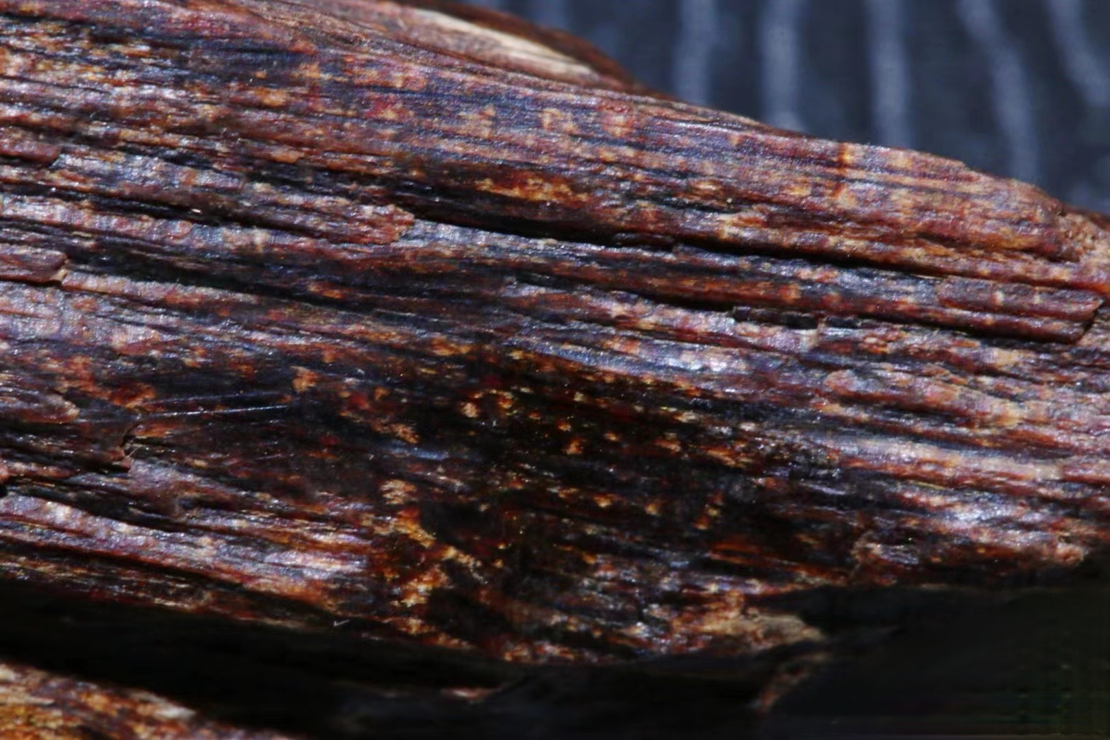 广西柏科土沉香与瑞香科沉香 气味有没有区别?