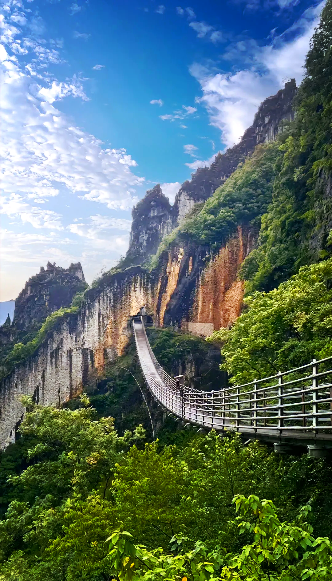 今天给大家介绍的是