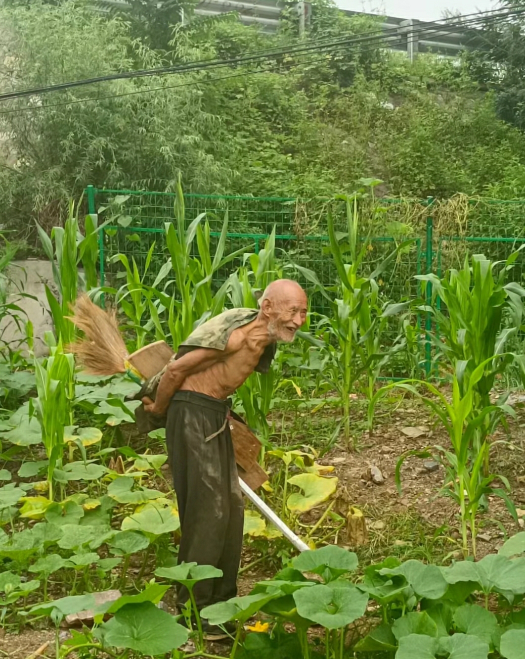 种地的老农民图片大全图片