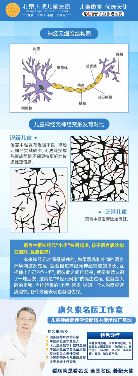 神经元网格越密,代表孩子的脑神经活跃度越高,大脑功能发育越完善!
