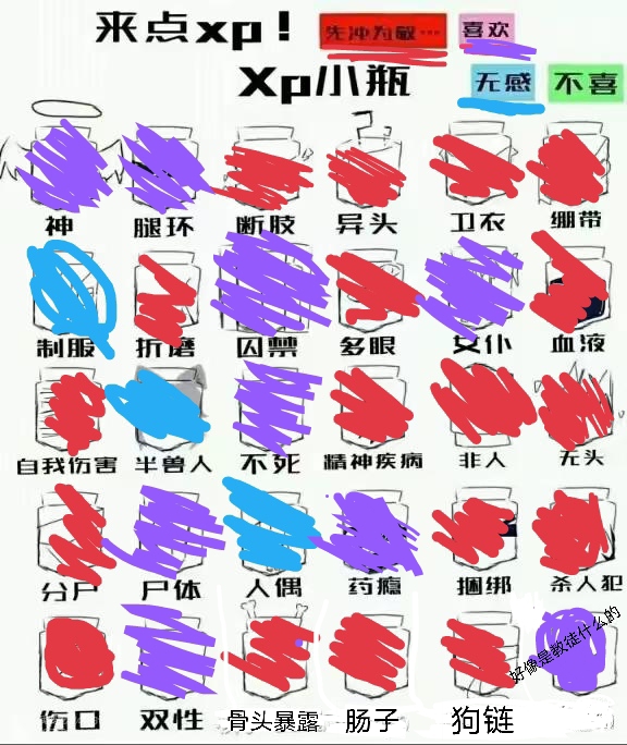 xp填表图片