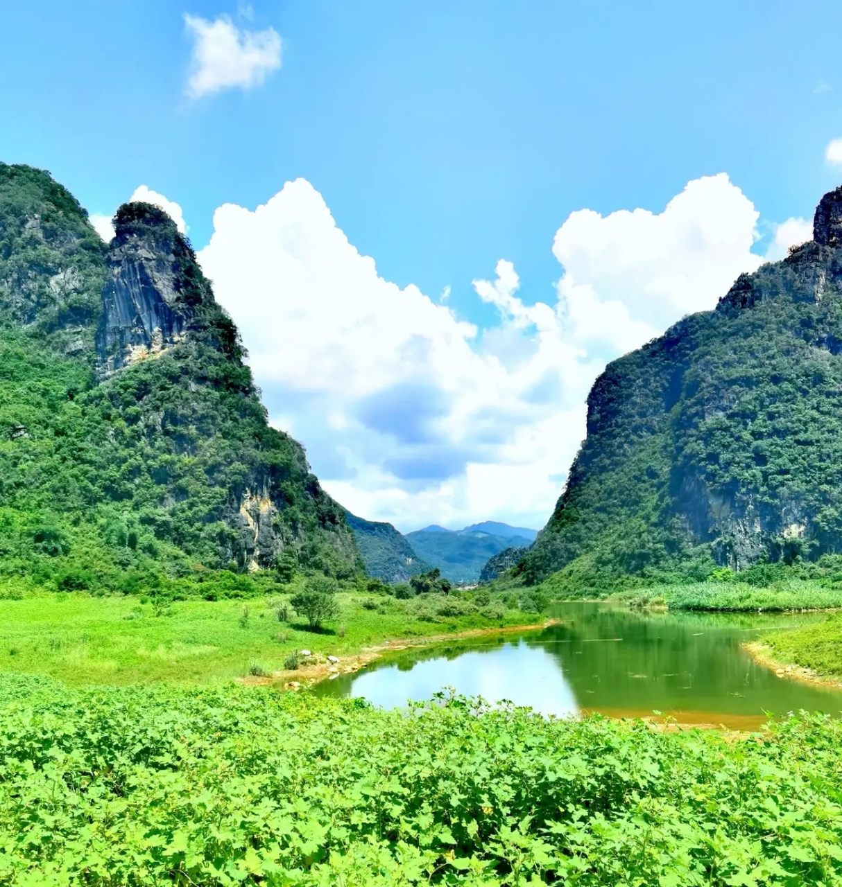 路经广西贺州市钟山县,不得不去看看这里远近闻名的水墨田园百里.