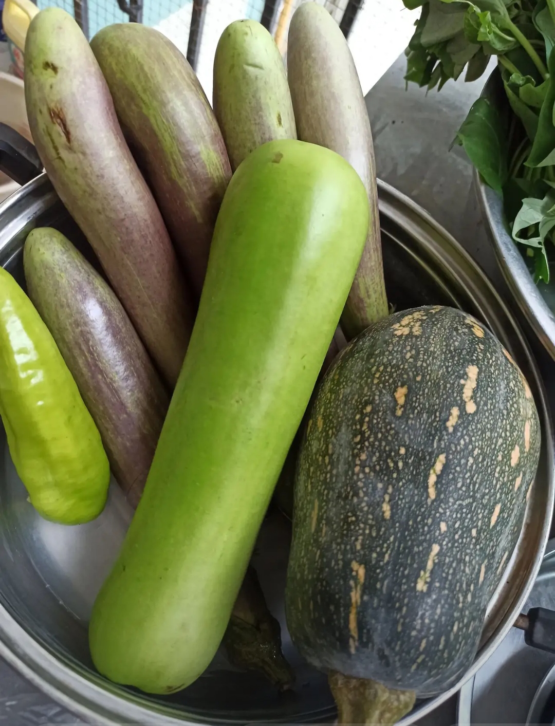 这么多种瓜,有你喜欢的吗?