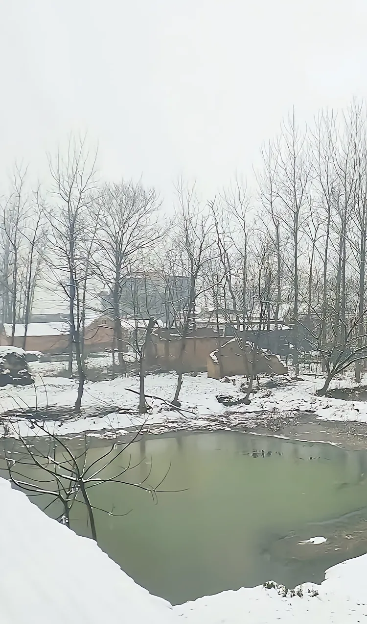 乡村怀旧,农村雪景图片