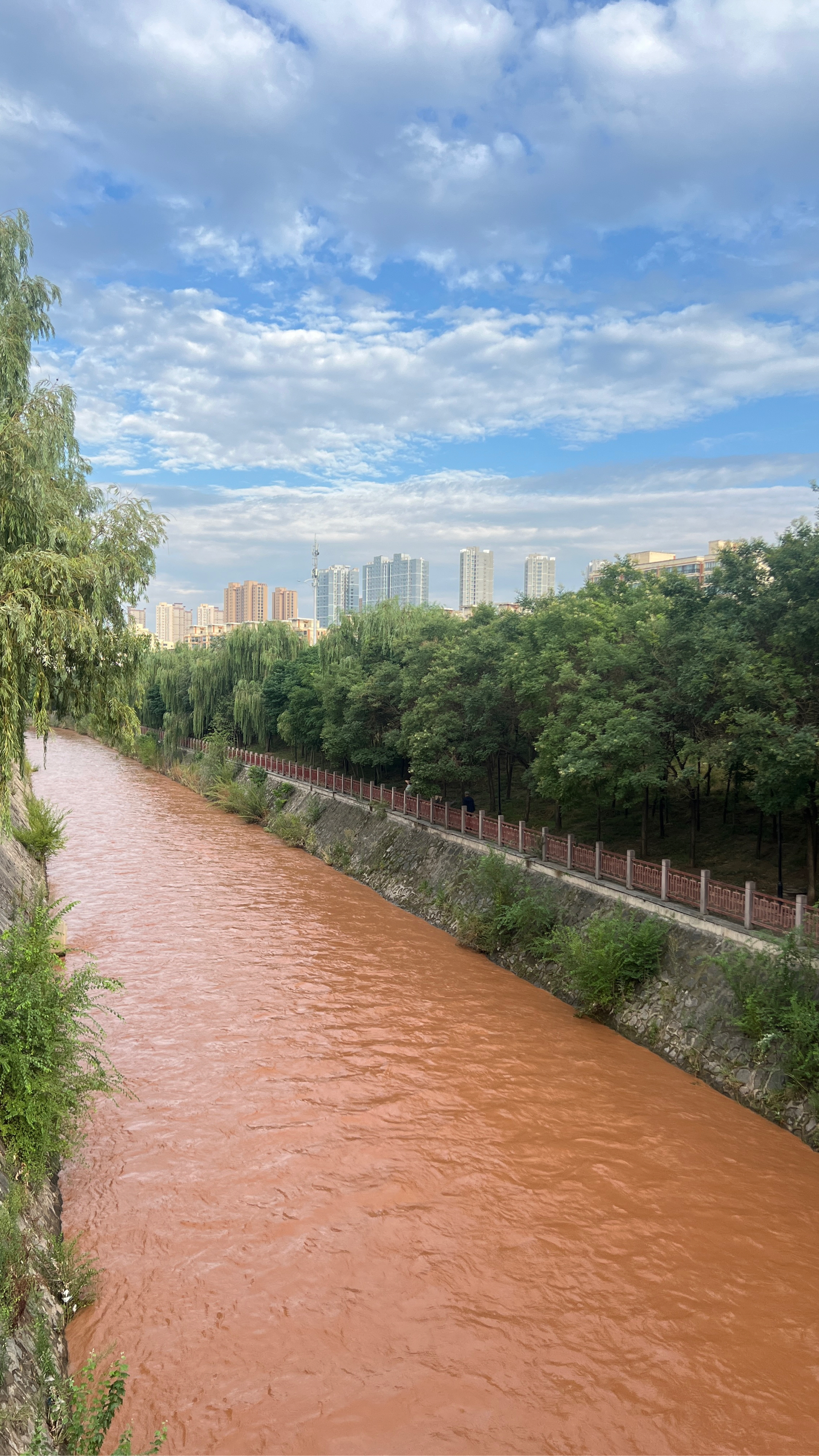 兰州马滩湿地公园图片