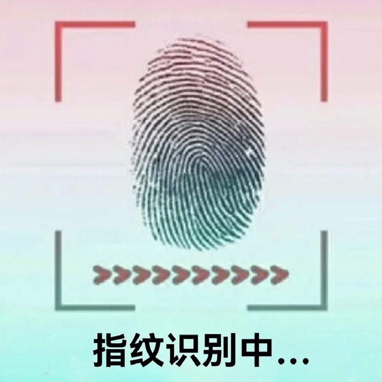 八卦指纹图片