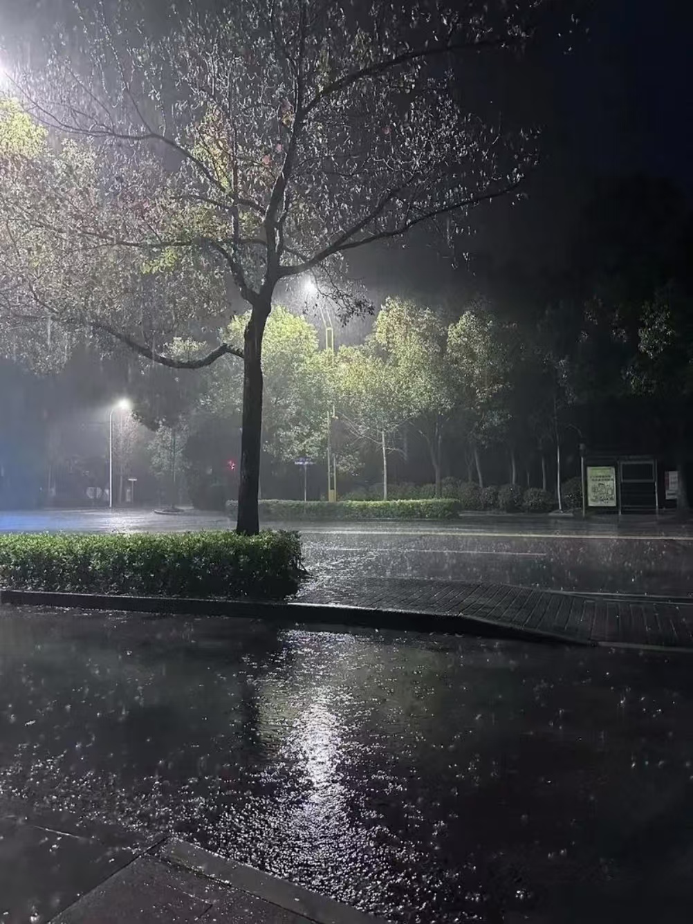 成都的雨,怕是包月了吧?