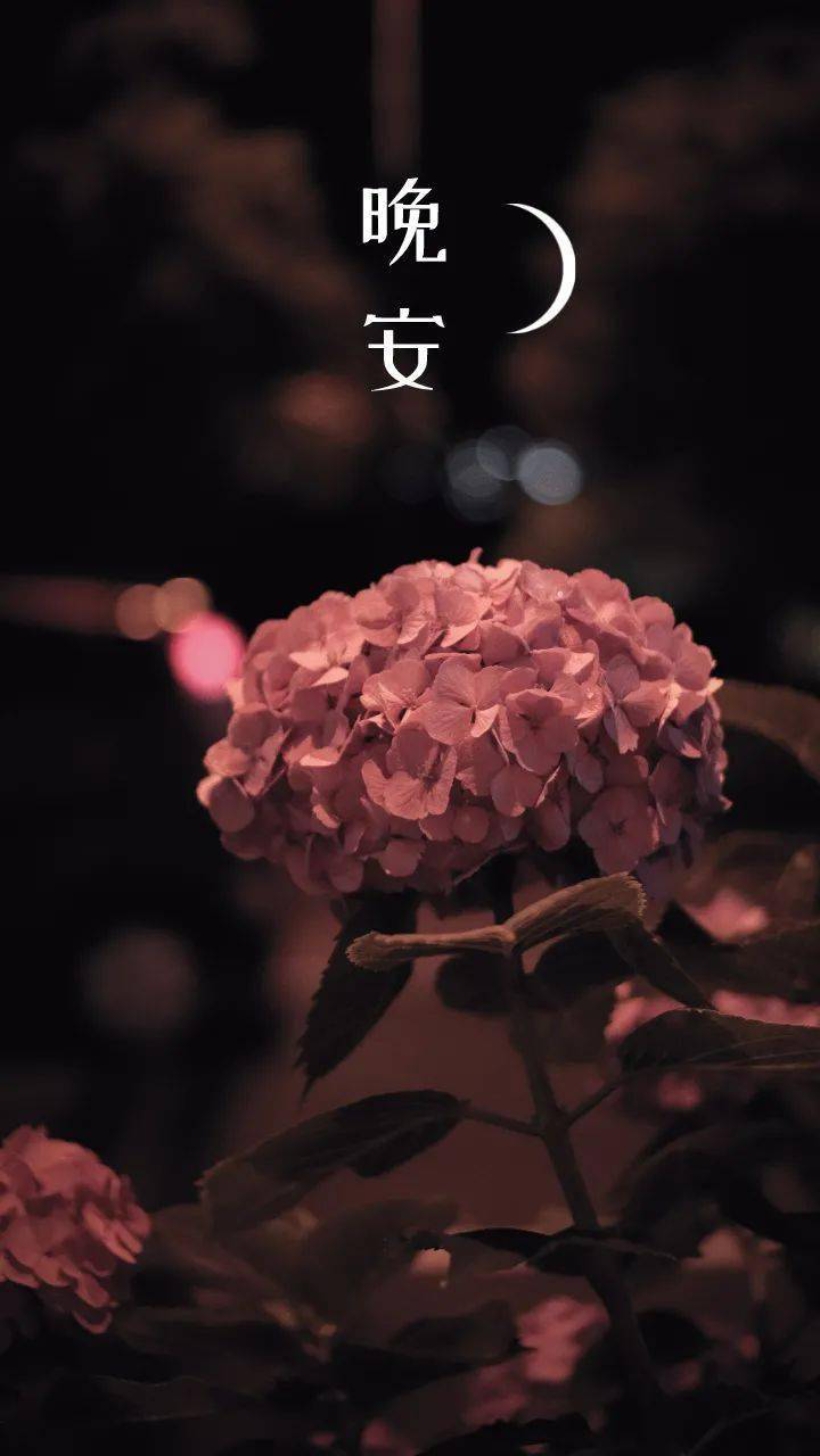 晚安,好梦!今天又是难忘的一天!