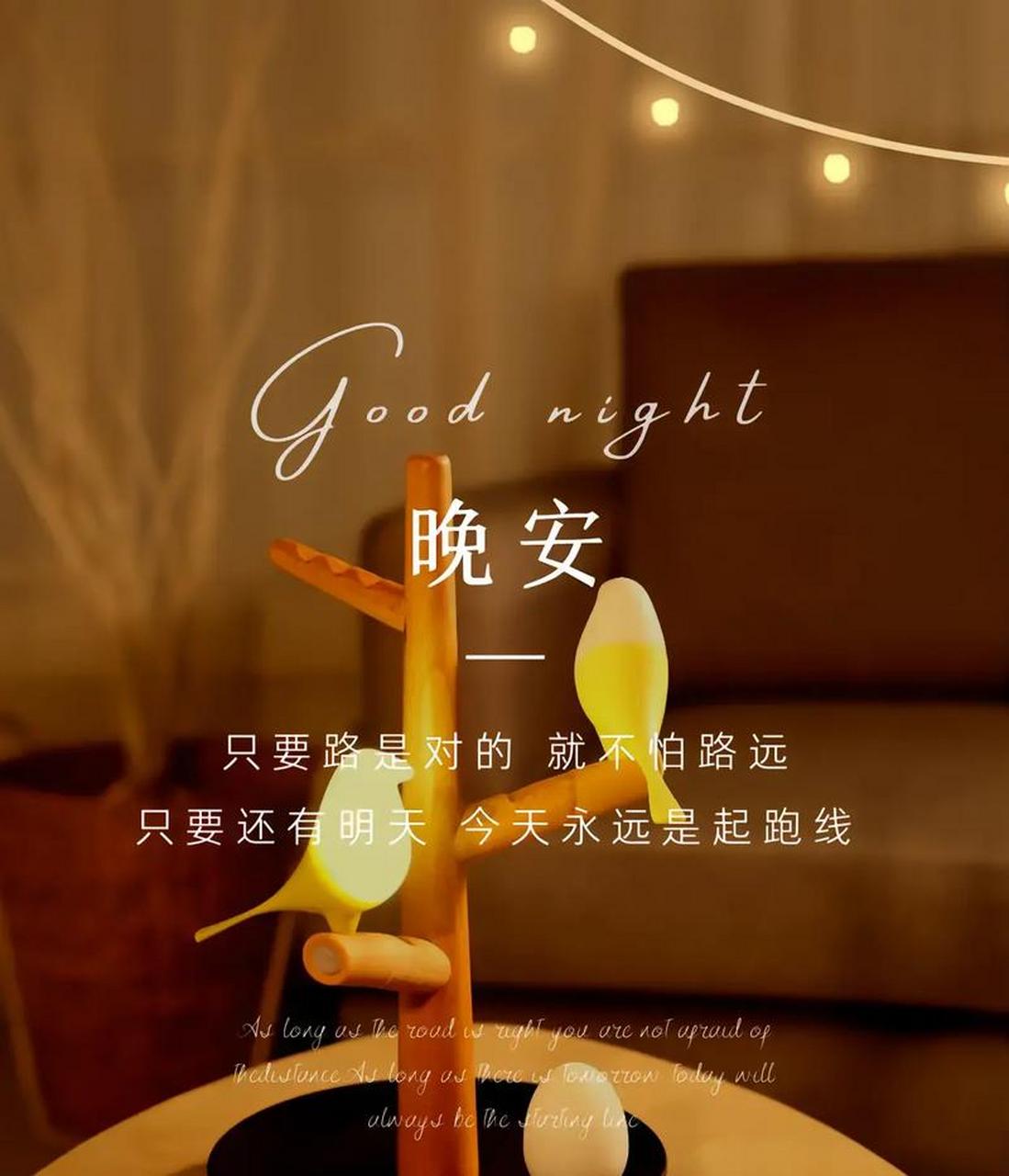 晚安,好梦!夜深了,早点休息,照顾好自己,明天才能更好地搬砖!