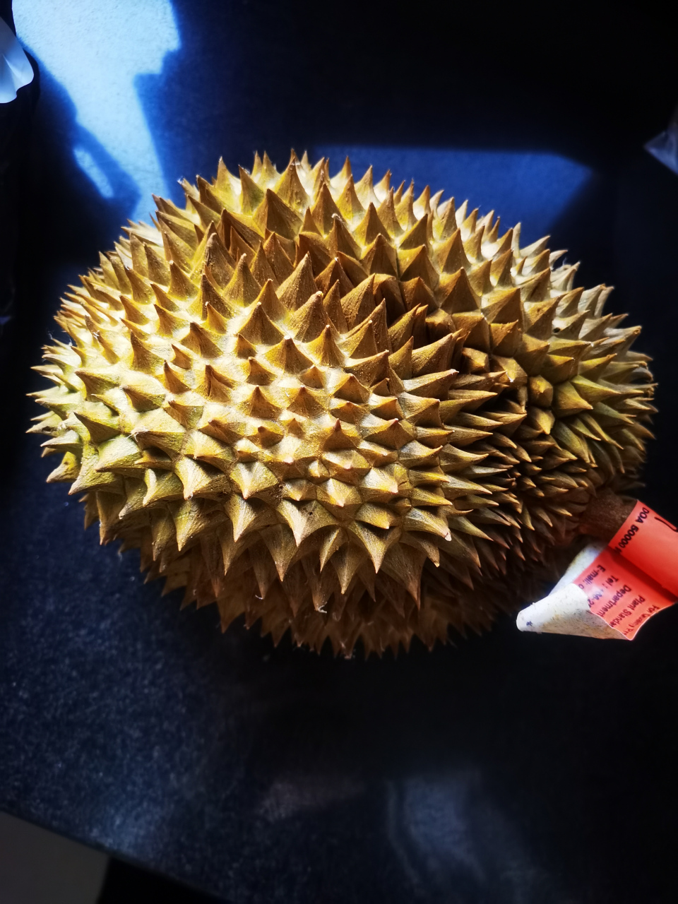 3斤小榴莲,性价比还是很高的,开出的果挺实在,谁说小的榴莲没肉的