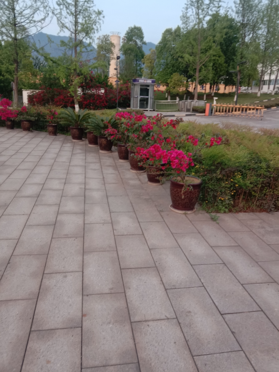 人间四月芳菲尽,这里却是繁花似锦