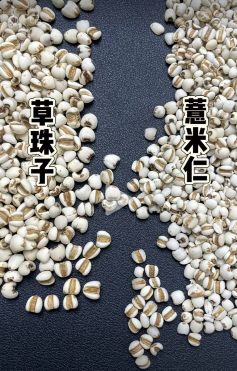 第一次听说薏米还有假的,原来有人拿草珠子冒充薏米