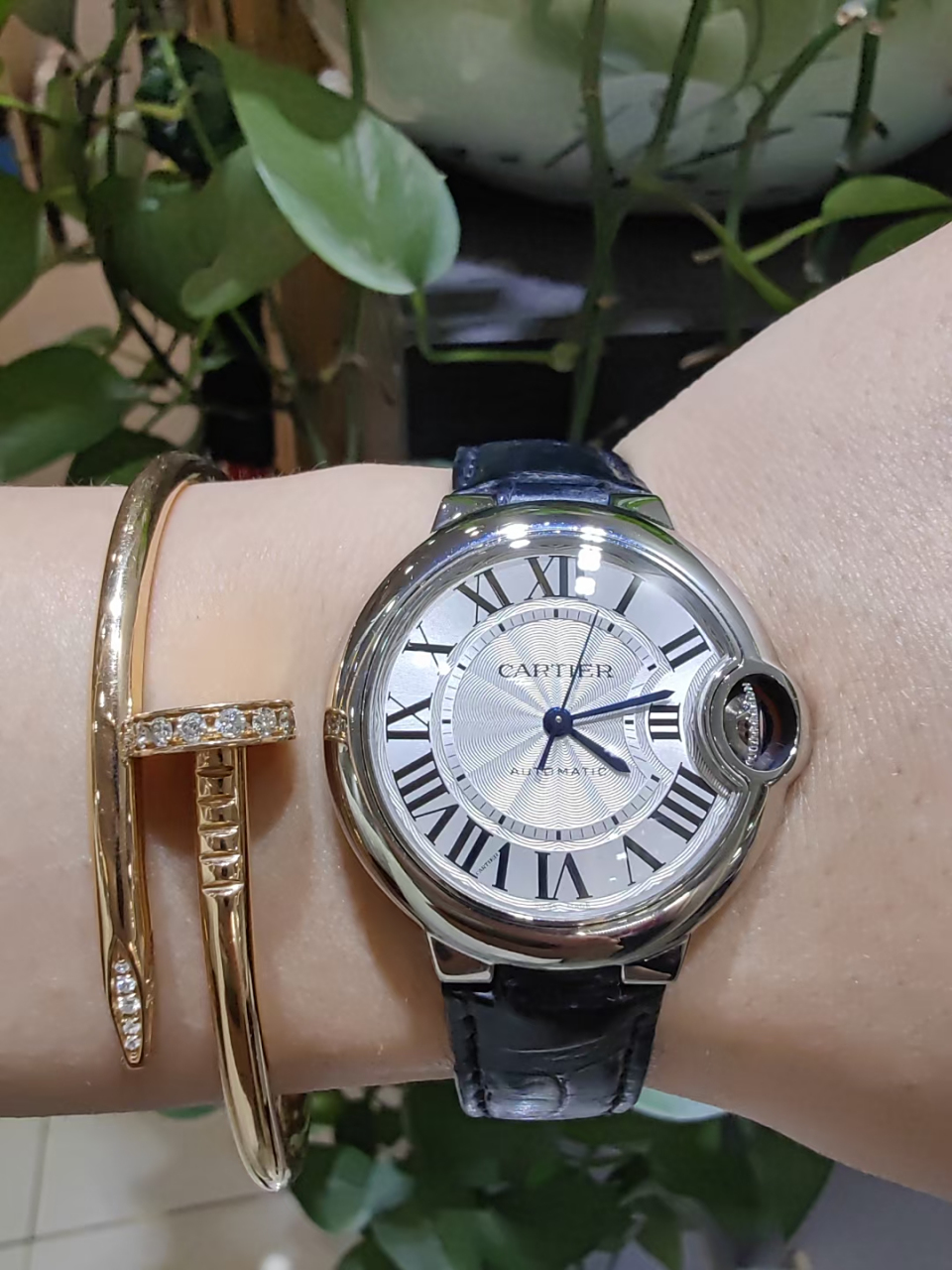 刚到极品卡地亚蓝气球女士机械腕表 型号wsbb0030 21年购买于杭州万象