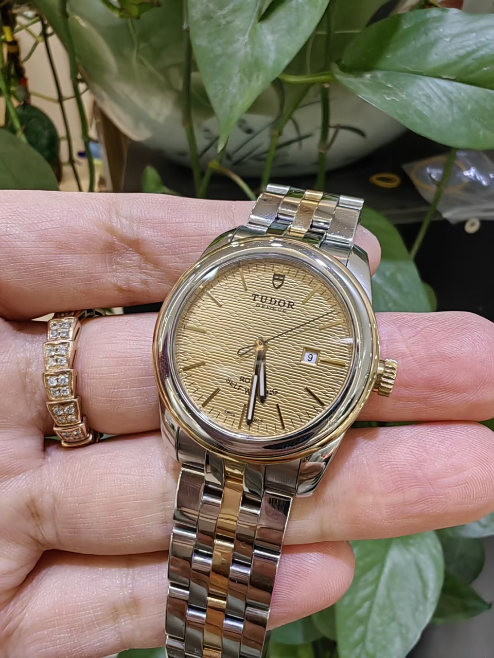 刚到极品帝舵骏珏系列女士机械腕表 30黄金表盘 劳力士旗下走时稳定