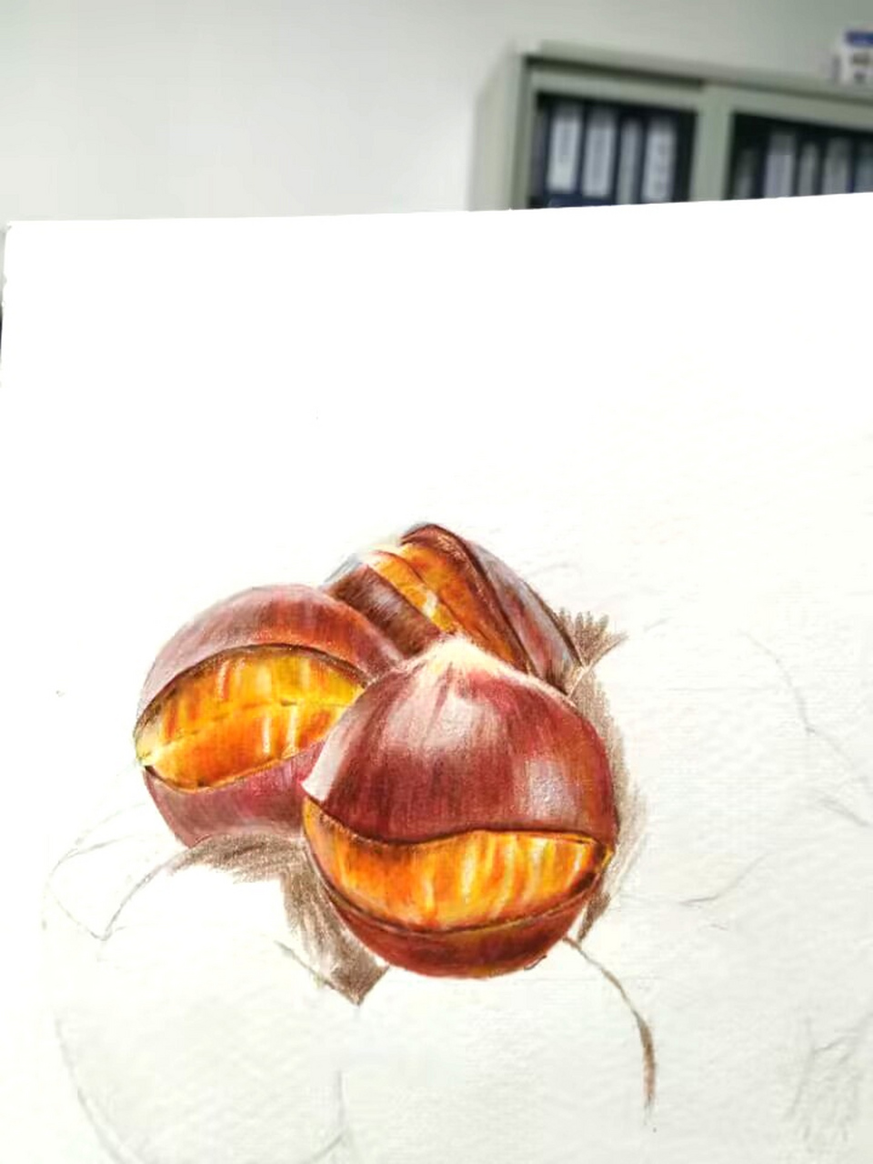 画板栗我是认真的!#手绘