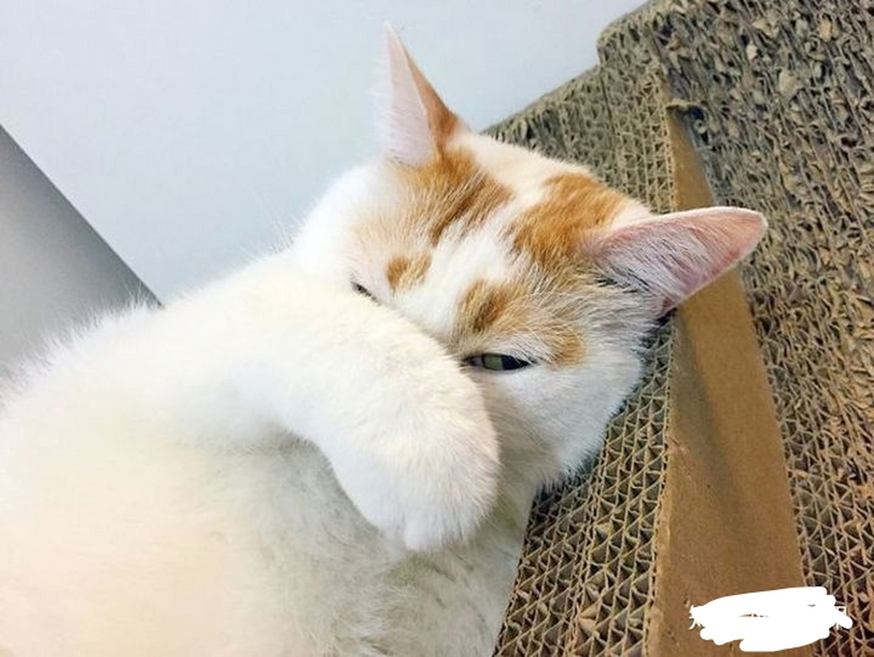 不管做销售还是做生意