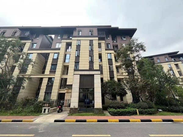 洋房90w 长沙市望城区金地三千府六期洋房y6666栋101室 面积:114